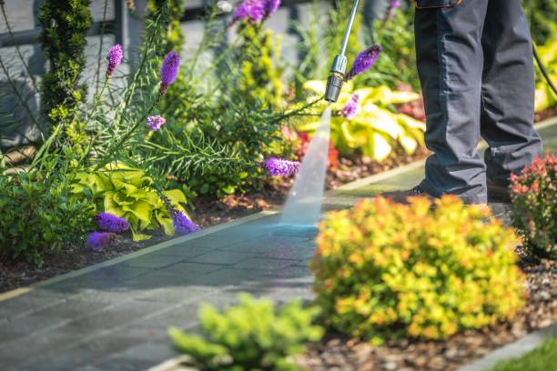 Best Parking Lot and Garage Cleaning  in Olney, MD